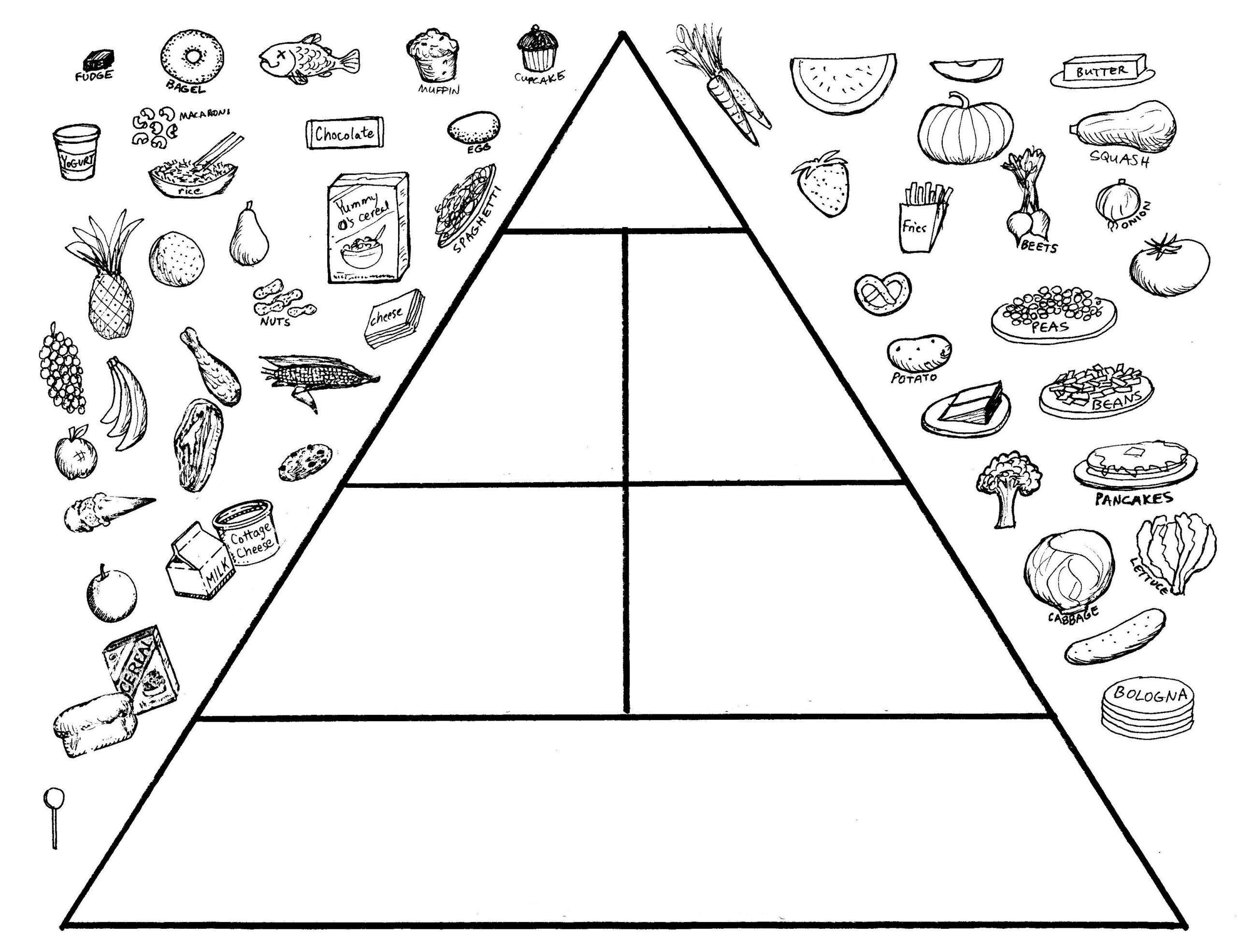 Blank Food Pyramid Template Printable