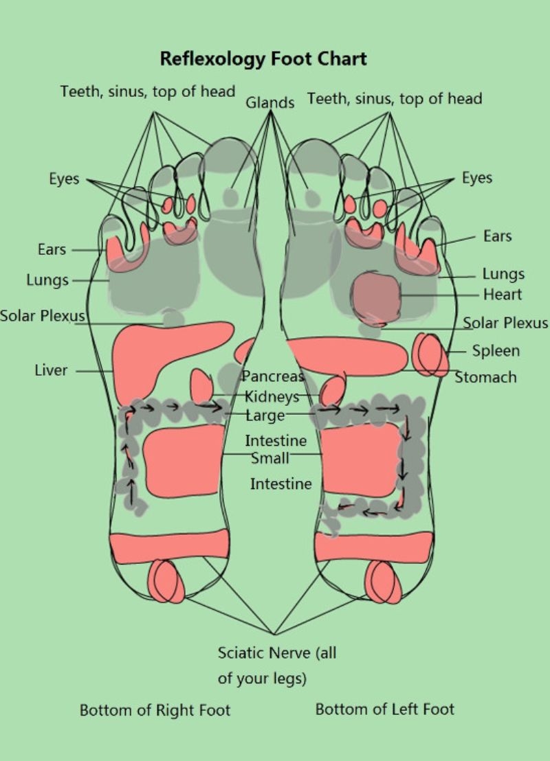 31 Printable Foot Reflexology Charts amp Maps TemplateLab