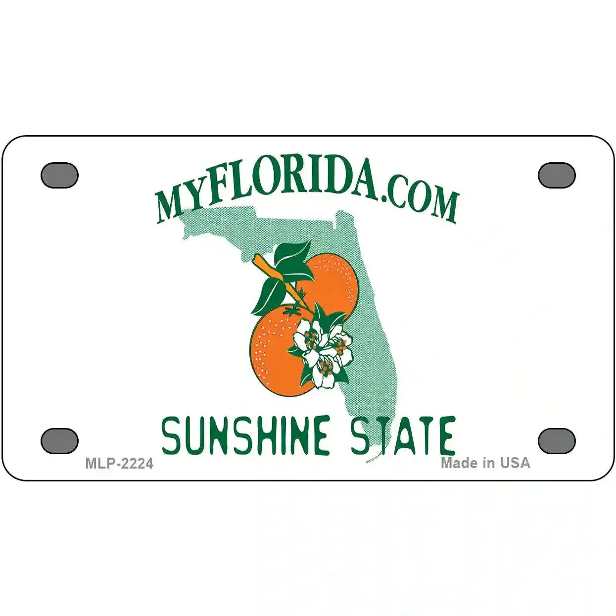 4 X 2 2 Mini MLP Florida State Blank Novelty Metal License Plate
