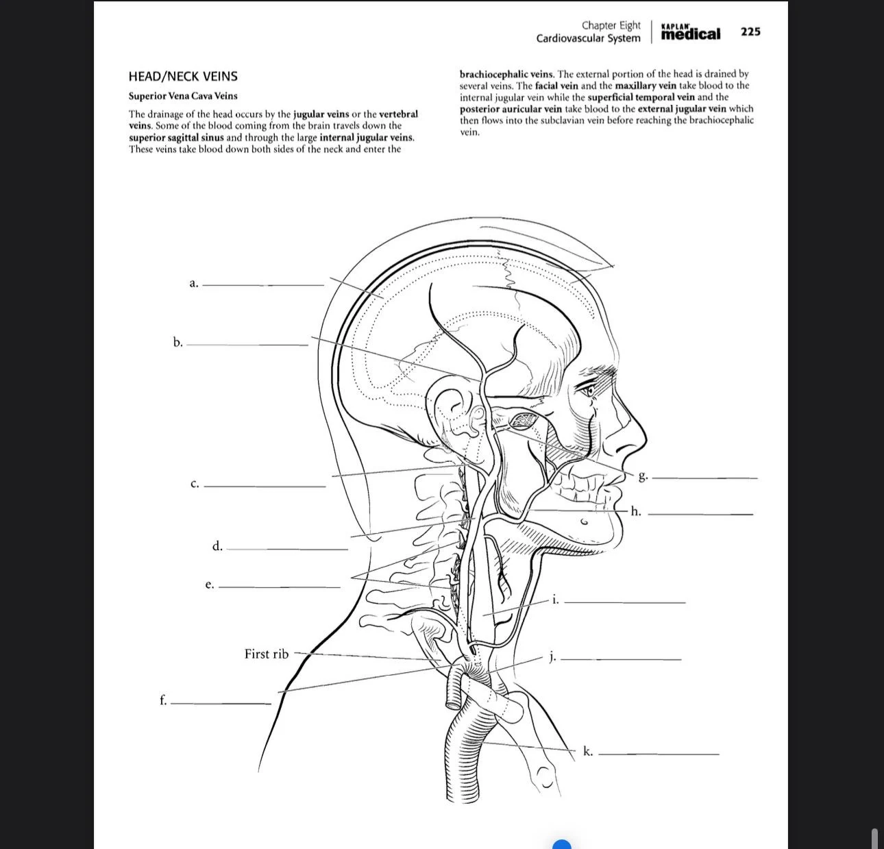 Anatomy amp Physiology Label Worksheets Etsy