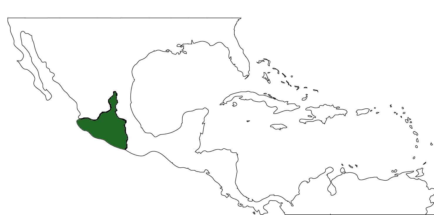 Aztec Empire Principia Moderni III Map Game Alternative 