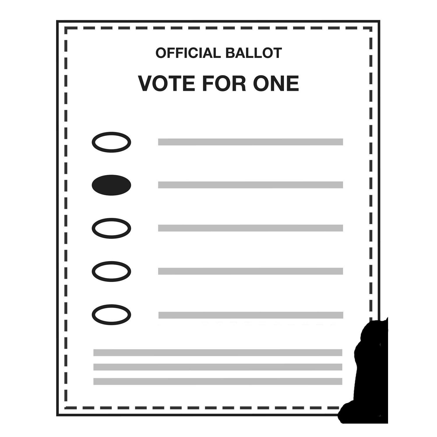 Ballot Replication Guide Elections Group