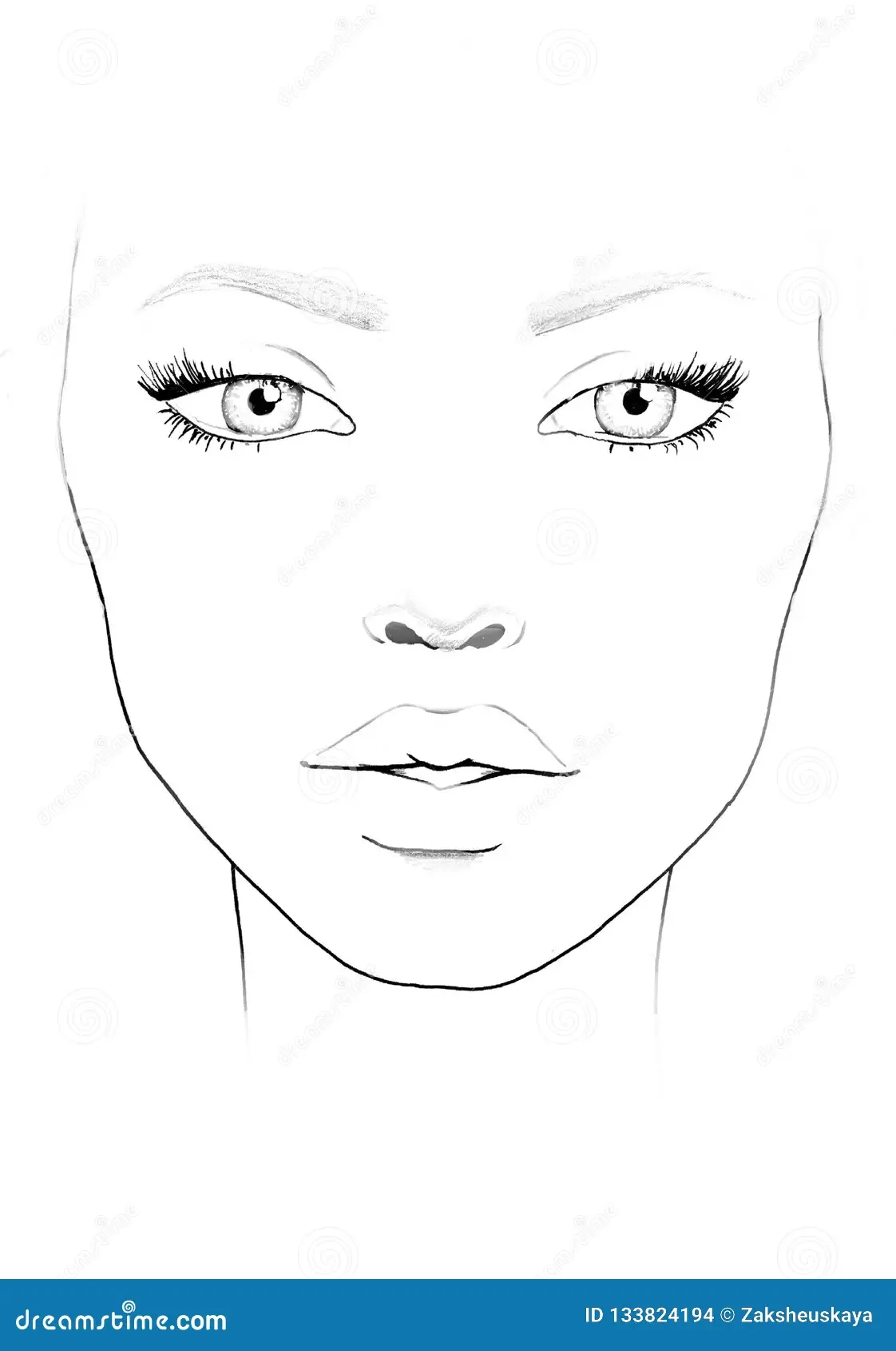 Blank Face Template Makeup Artist Pdf Stock Illustrations 299 