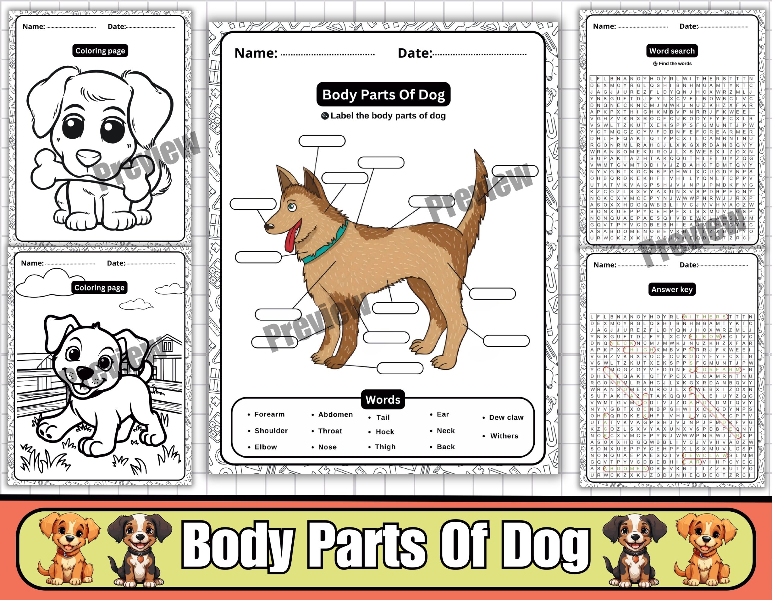 Body Parts Of A Dog Labeling Diagram Worksheets Word Search 