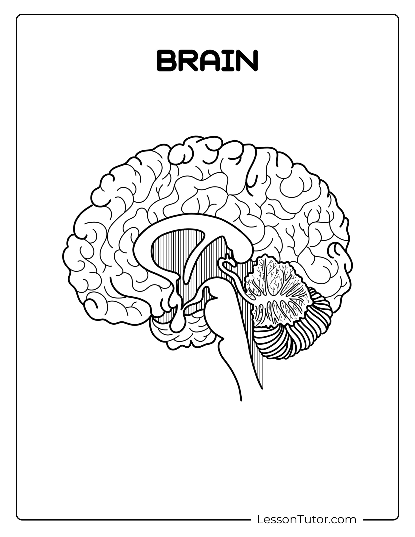 Blank Brain Sketch Printable