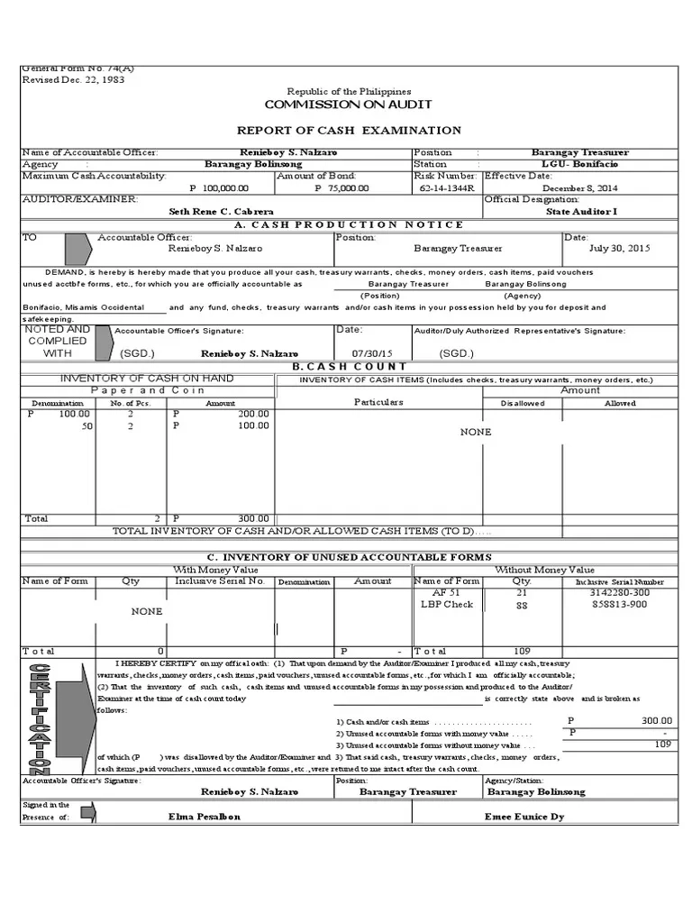 Blank Printable Treasury Reports