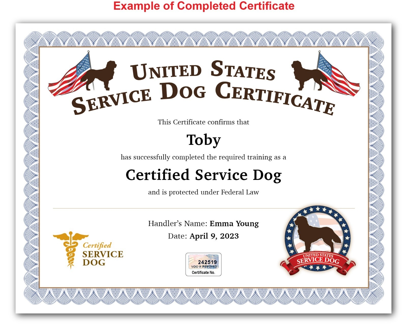 Printable Blank Service Dog Certificate