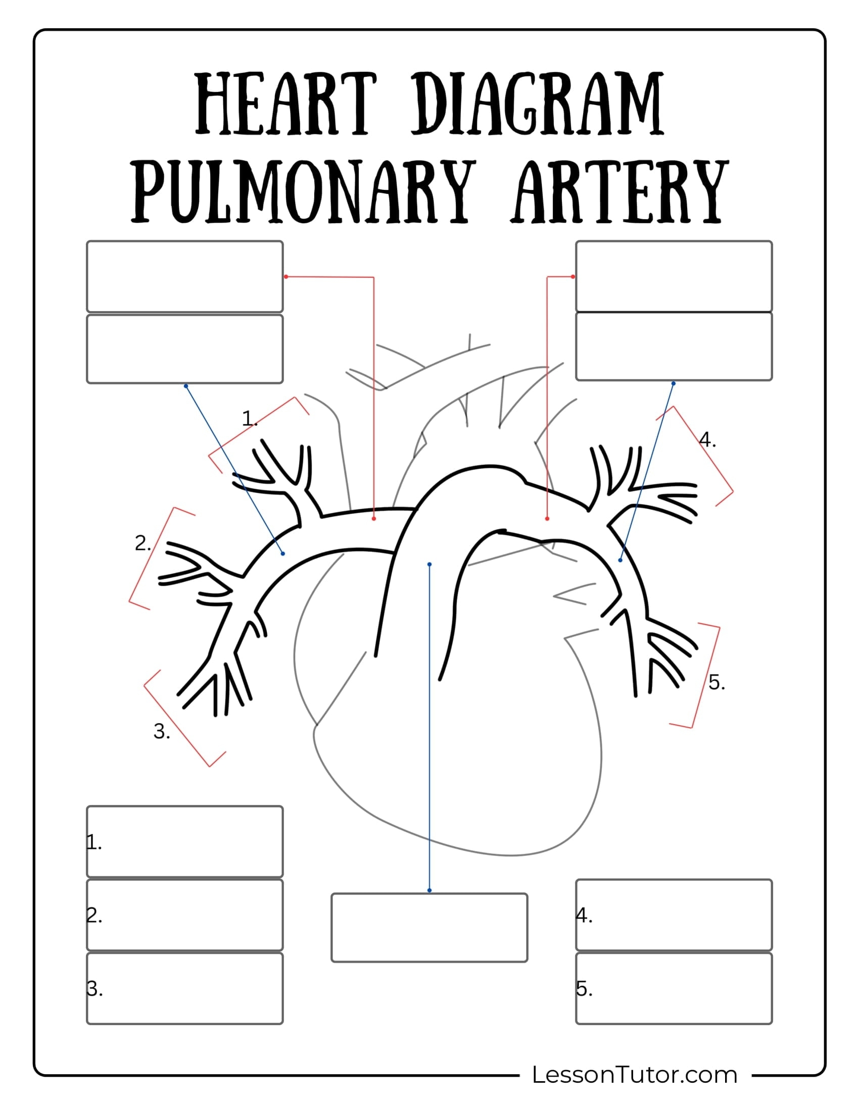 Heart Labeling Diagram Blank Printable