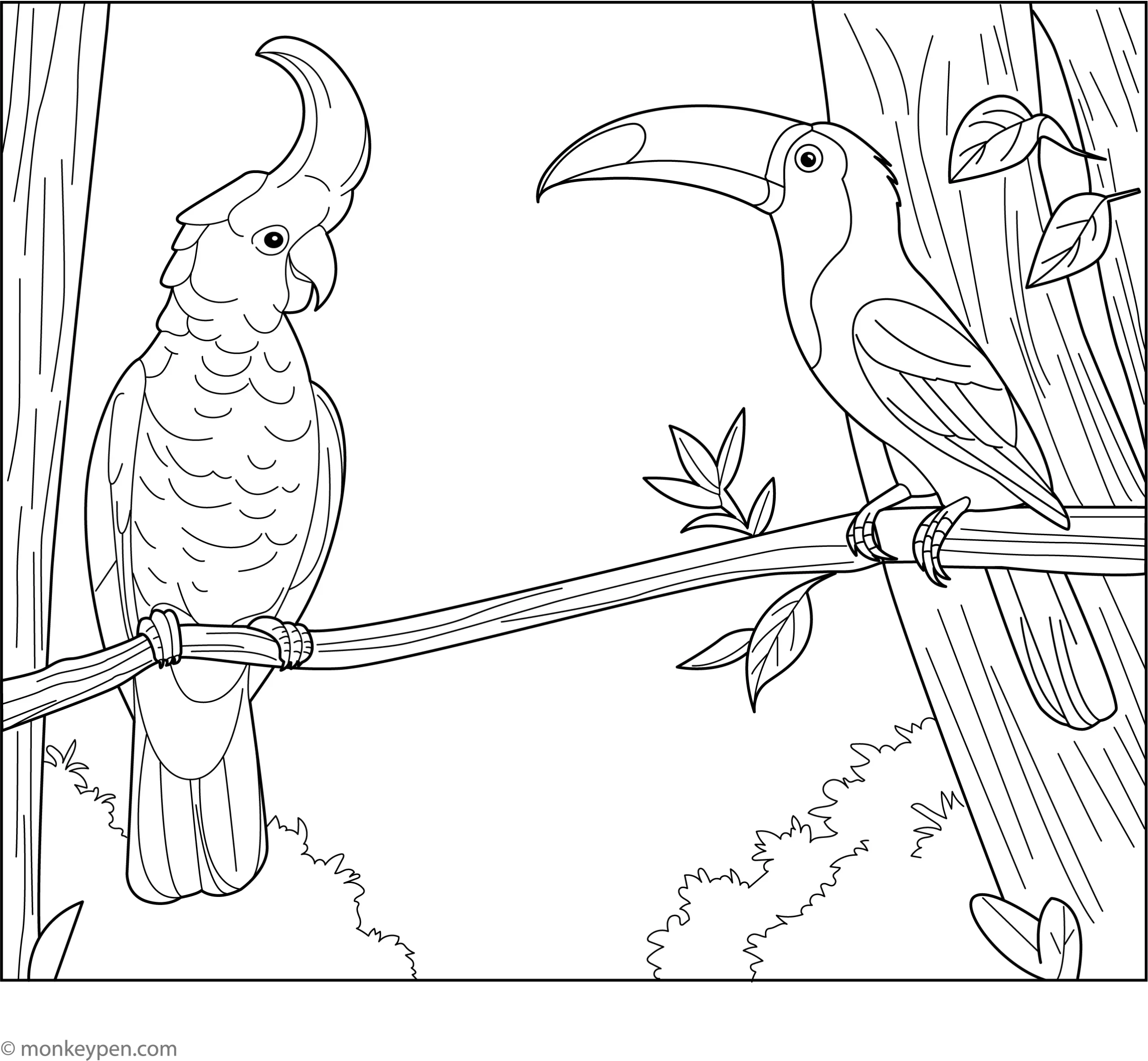Cockatoo And Toucan Coloring Page