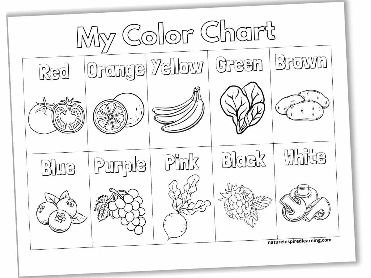 Color Charts Plus Activity Ideas Nature Inspired Learning