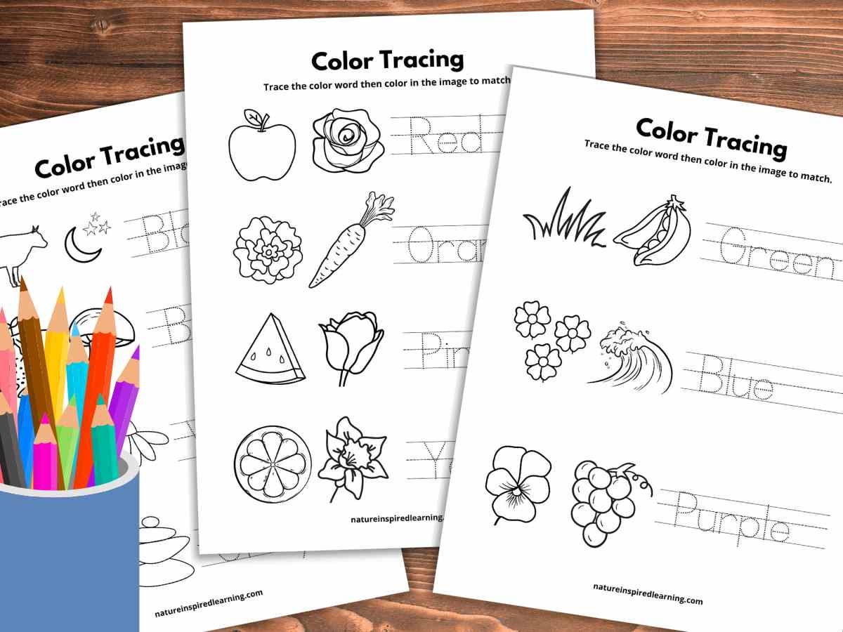 Blank Color Recognition Printables