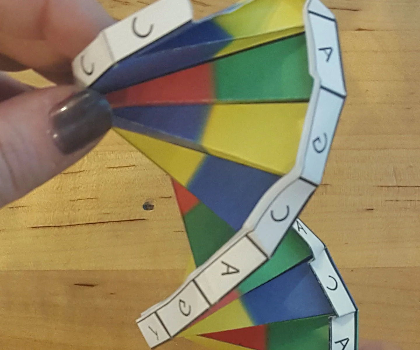 Dna Blank Origami Pattern Printable