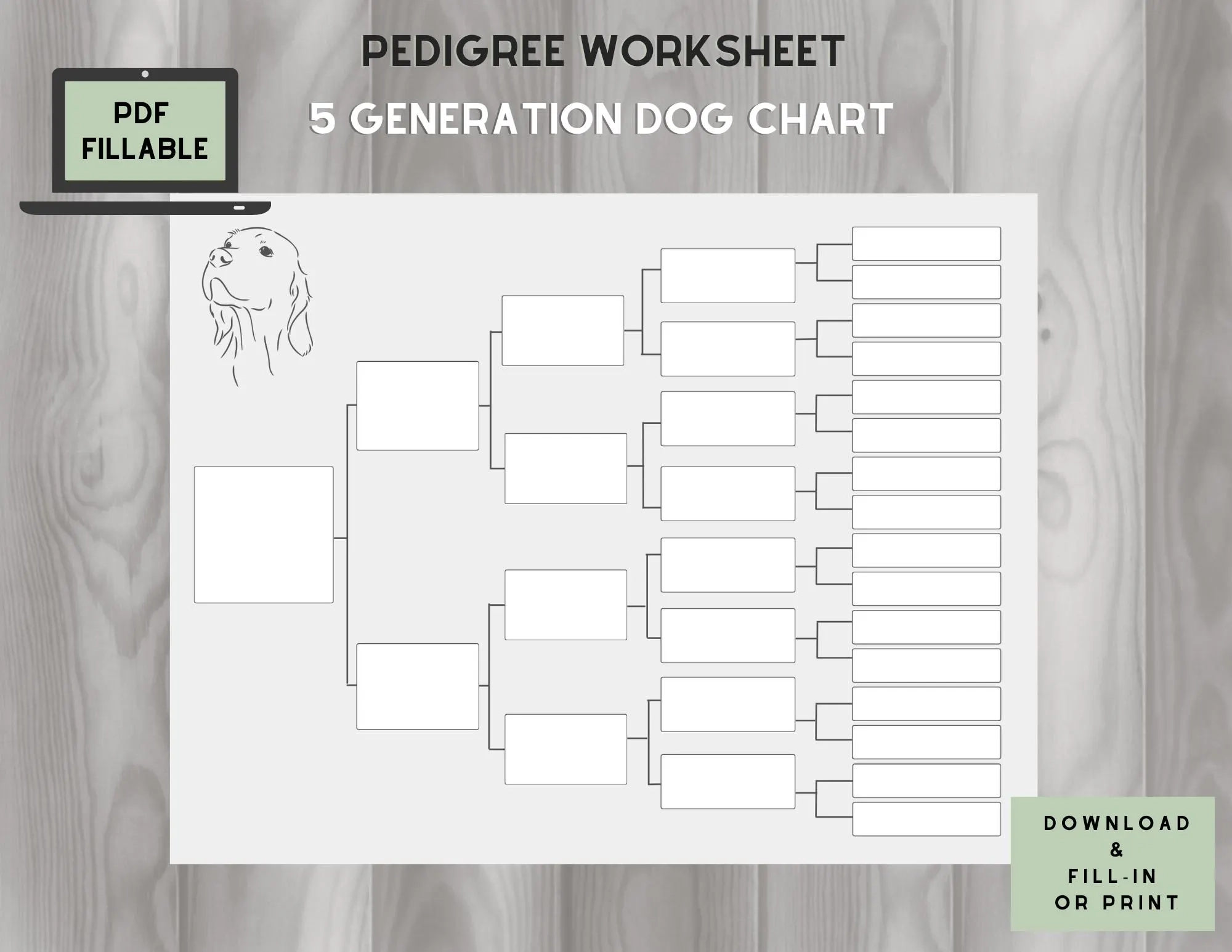 Printable Pedigree Blank Template