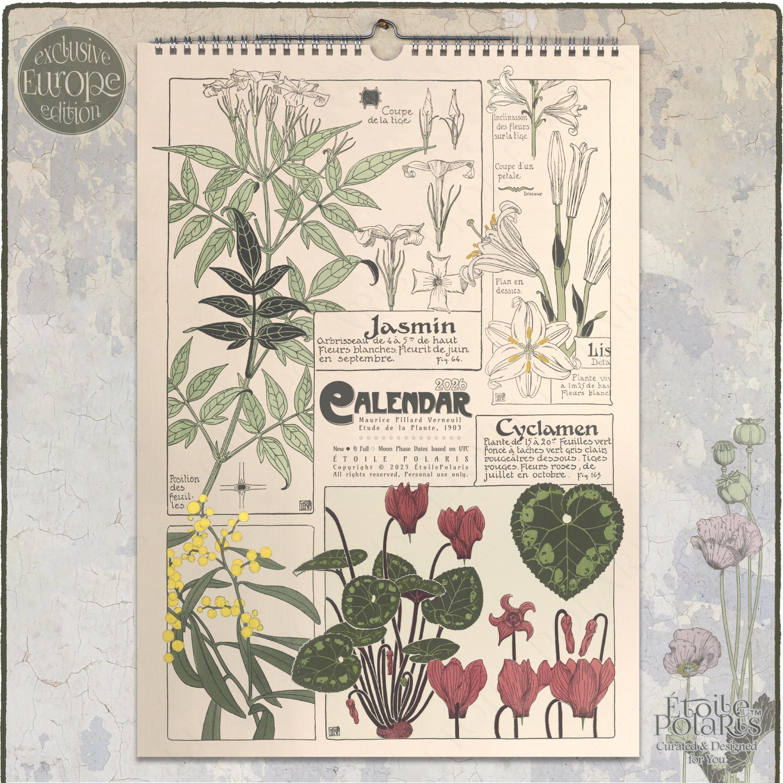 Printable Blank Calendar Polaris
