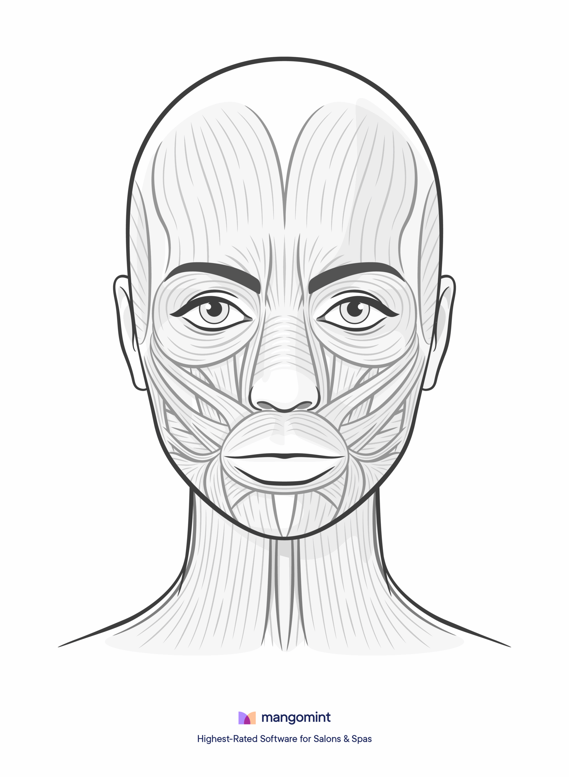 Blank Printable Face Muscles