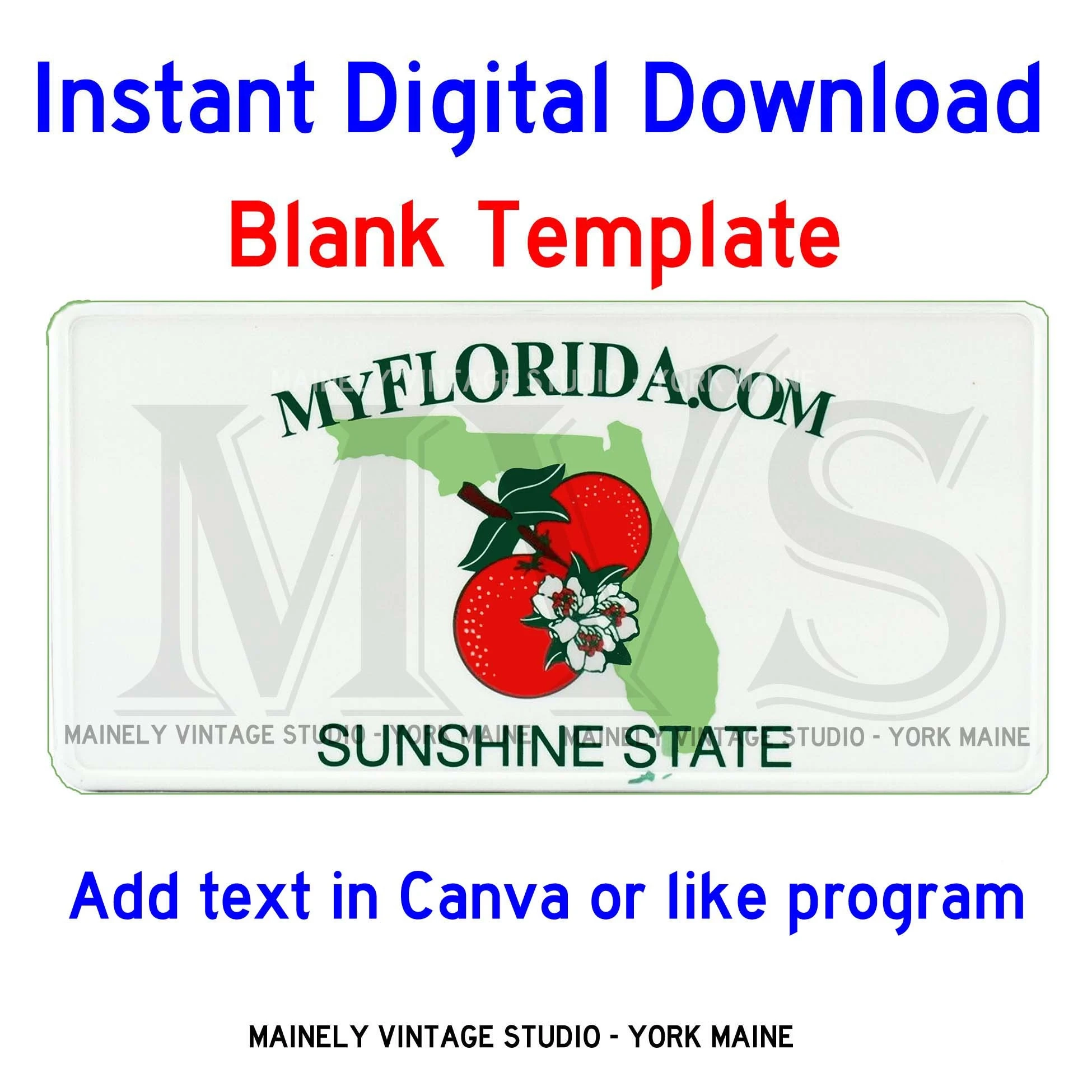 Florida FL License Vanity Plate Blank Template Digital Printable 