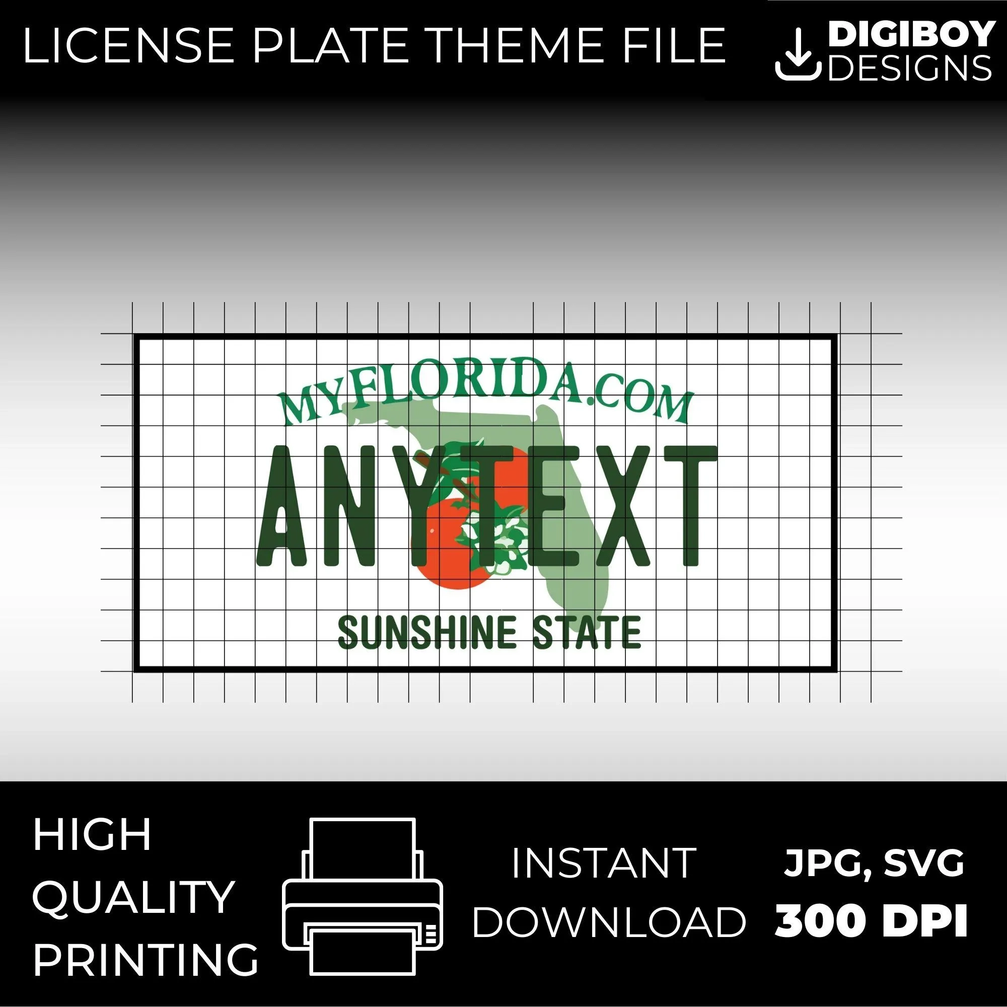 Florida License Plate Blank Printable