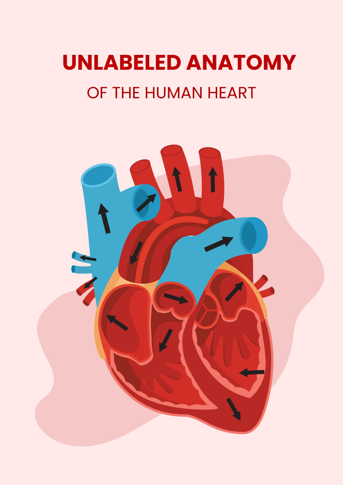 Free Blank Heart Diagram Template To Edit Online
