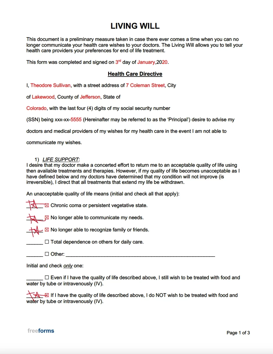 Printable Blank Living Will Form