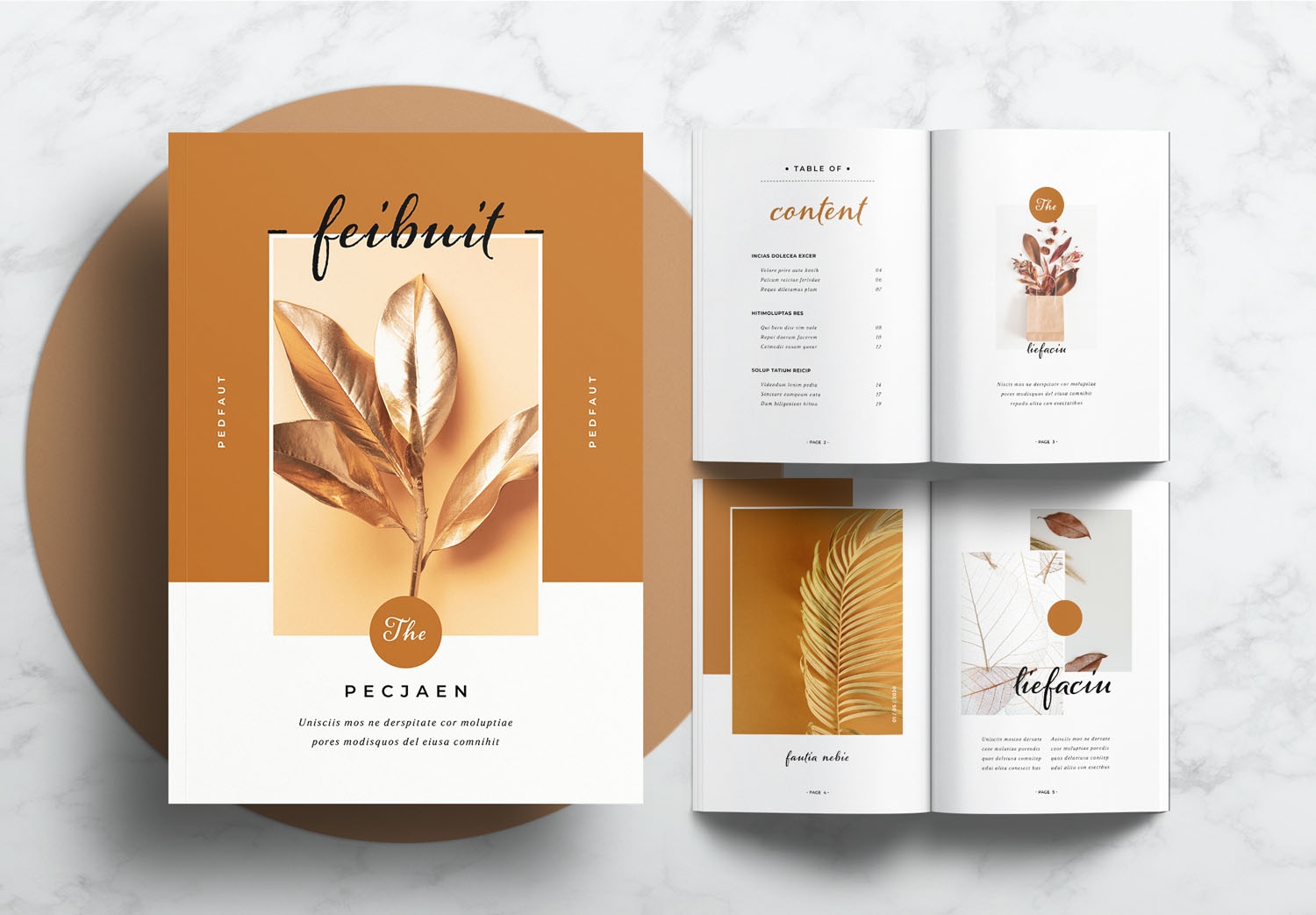 Free Portfolio Layout Template