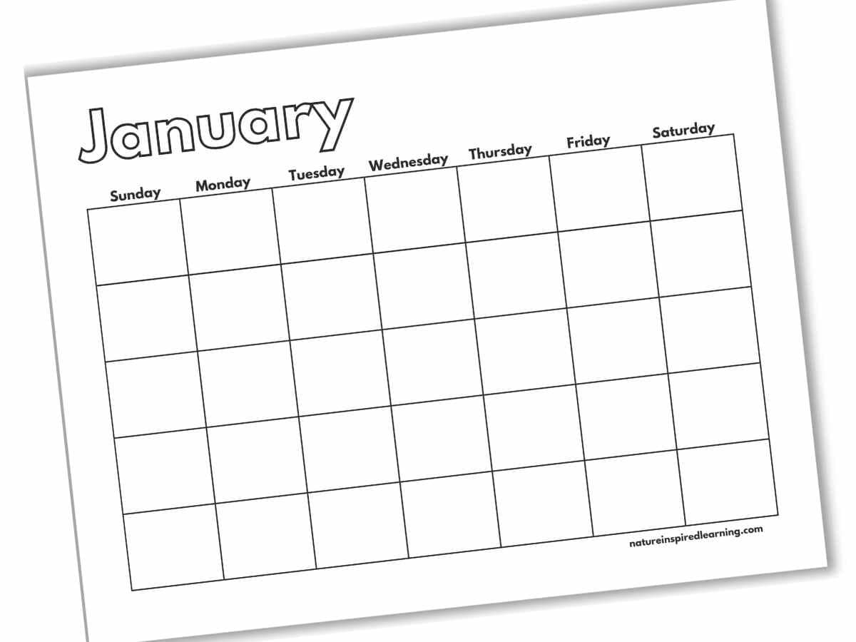 Blank Printable January Calendar