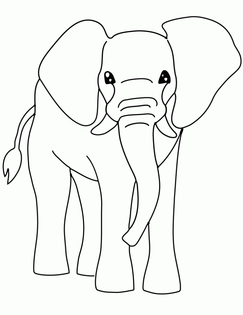 Blank Printable Elephant