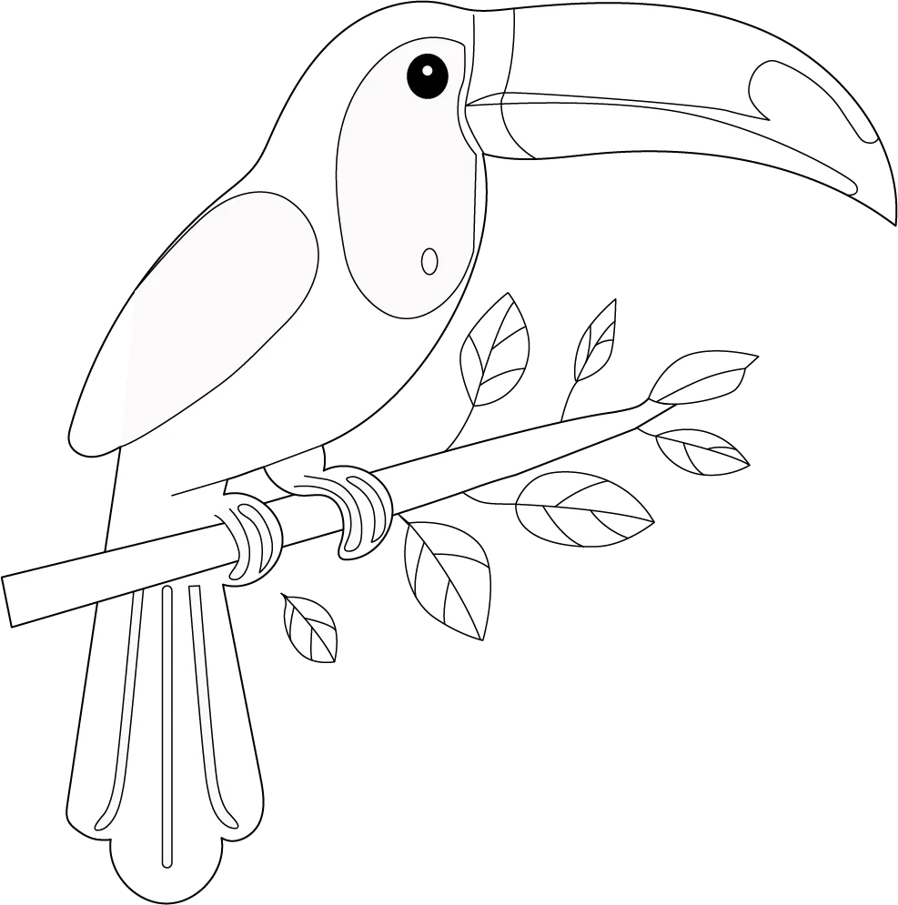 Coloring Pages Printable Tucan Blank