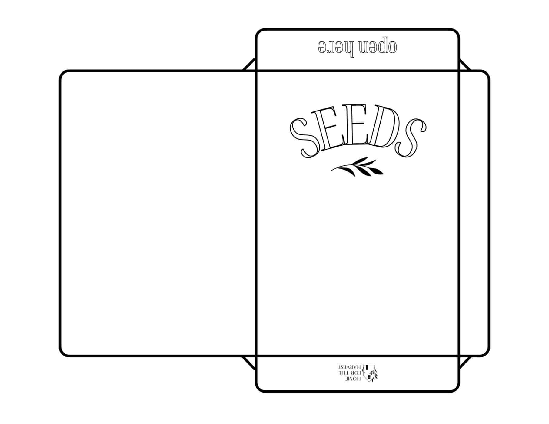 Growing Flowers From Seed Try These 8 Easy To Grow Flower Seeds For Beginner Gardeners 