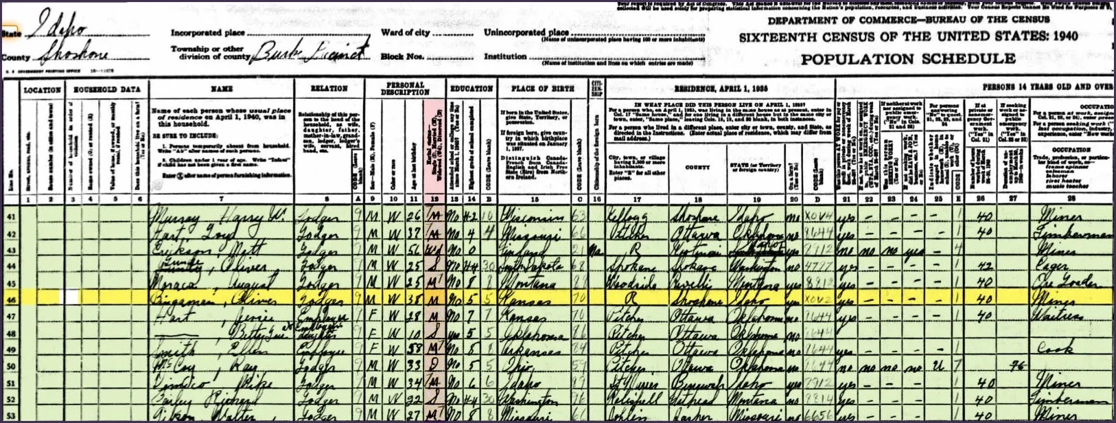 Printable Blank 1940 Census Form