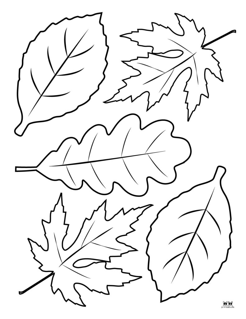 Leaf Outlines Templates amp Coloring Pages 55 FREE Pages 