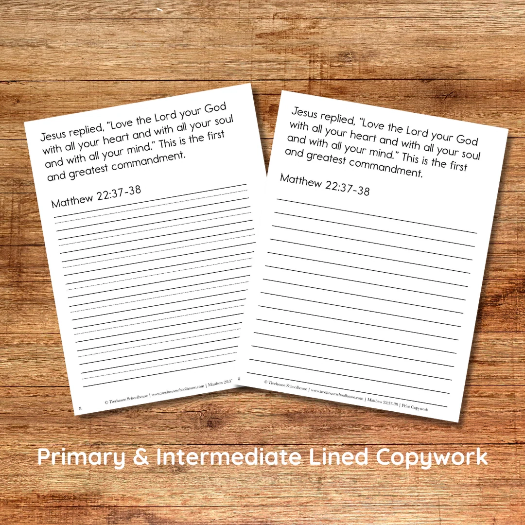 Light The Way Interactive Scripture Memory Set Digital Download 