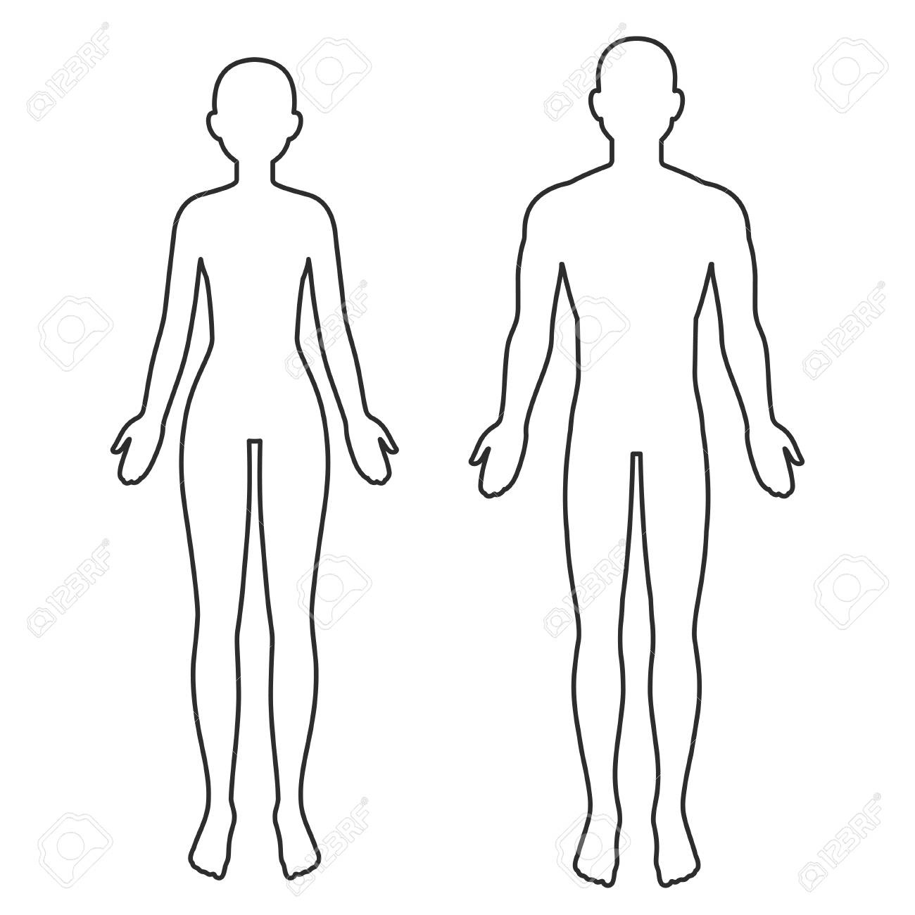 Male And Female Body Silhouette Outline Blank Anatomy Template 