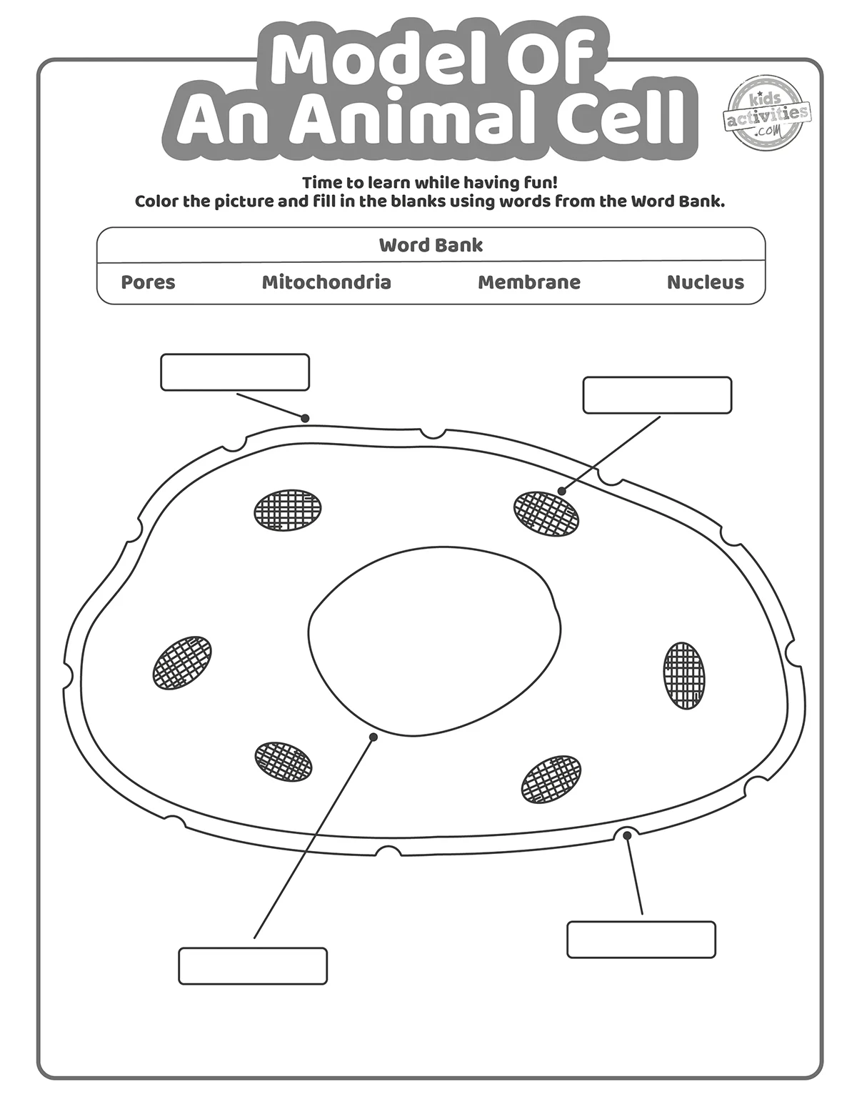Blank Printable Animal Cell Quiz