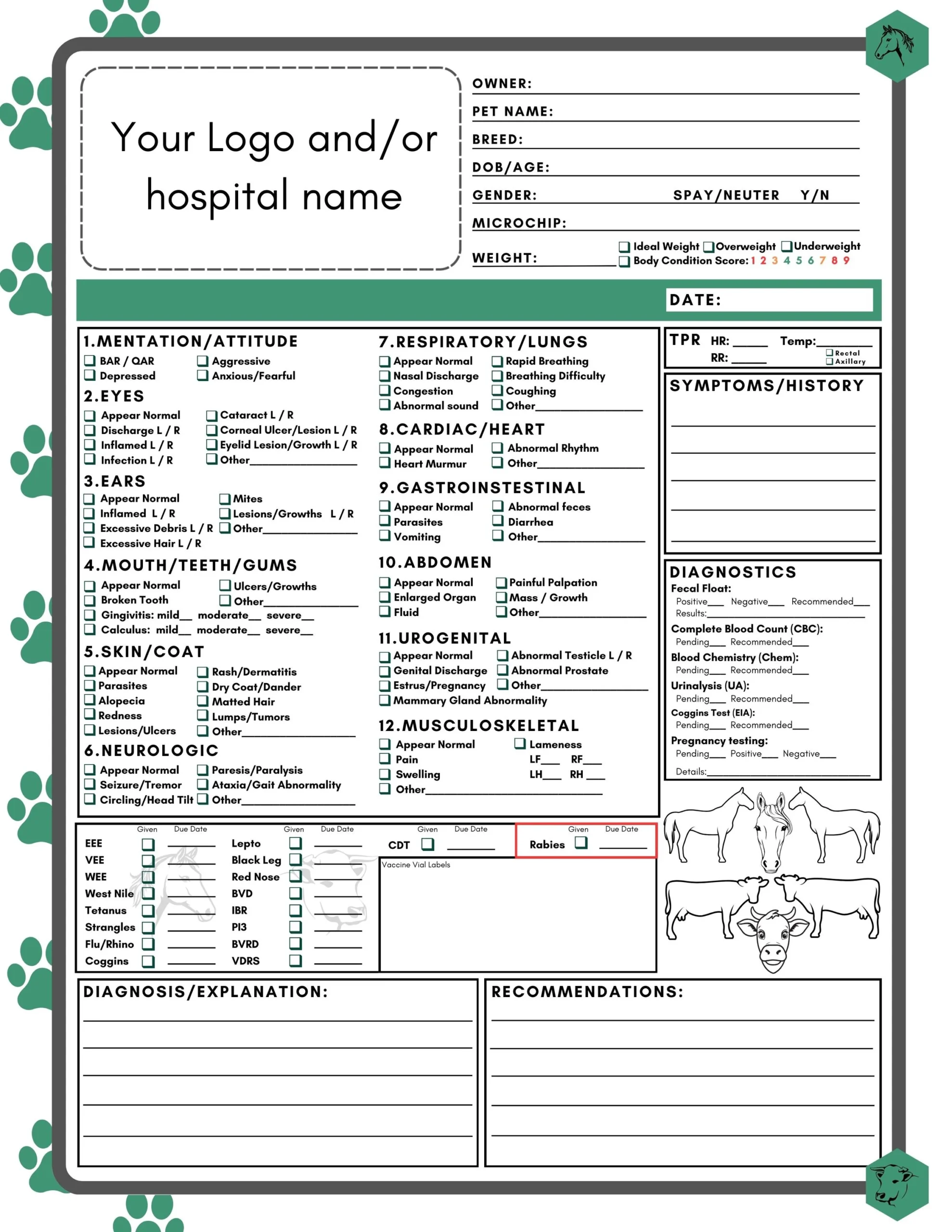 New Large Animal Customizable Physical Exam Form Veterinary 