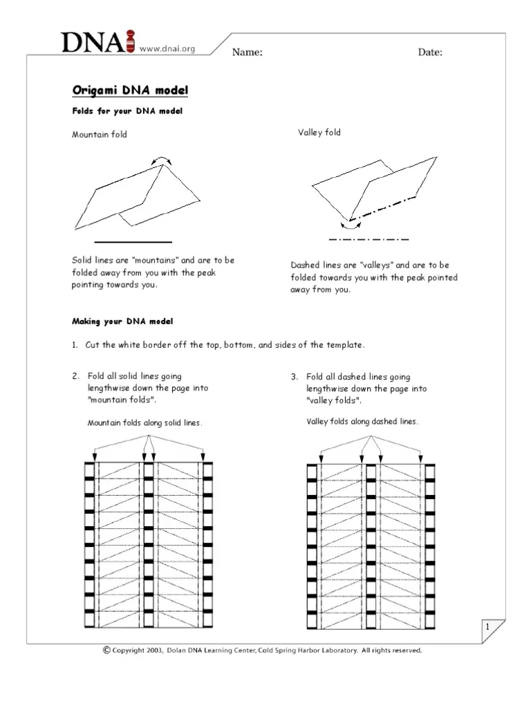 Origami DNA Model Guide PDF