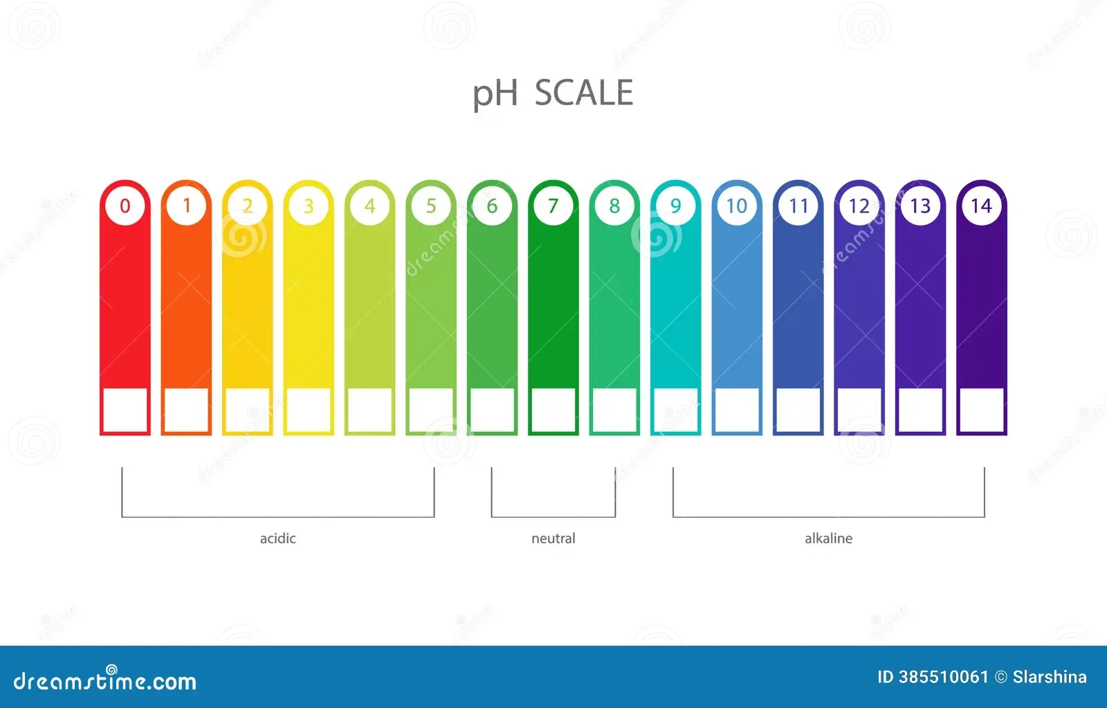 Ph Scale Blank Printable
