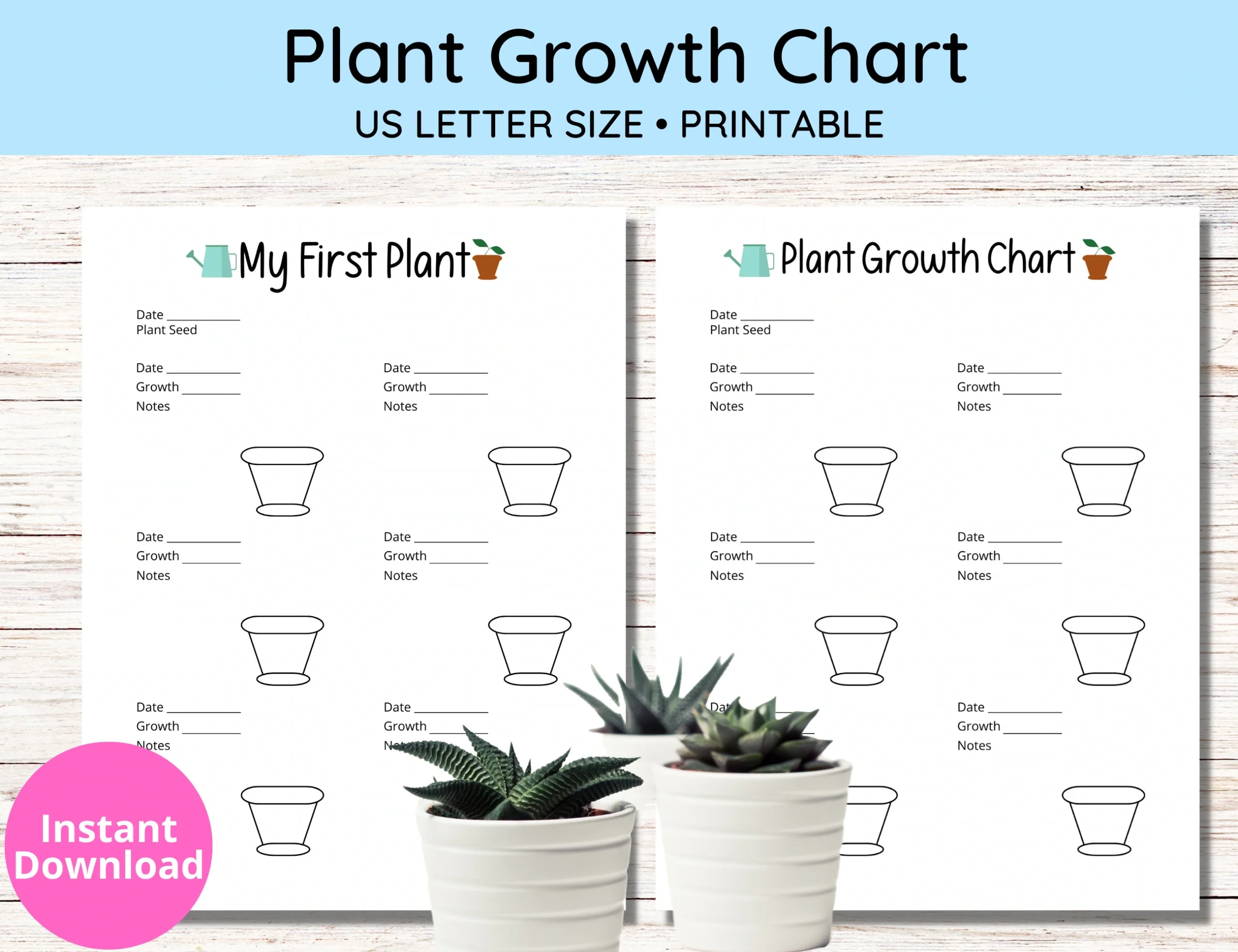 Fillable Blank Printable Plant Identificationtemplate