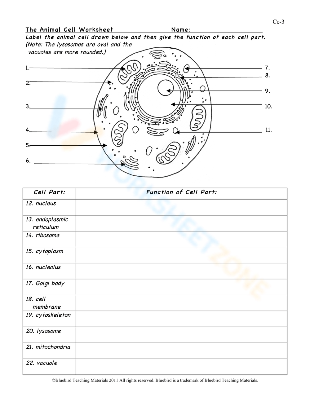 Printable Grade 7 Animal Cell Worksheets