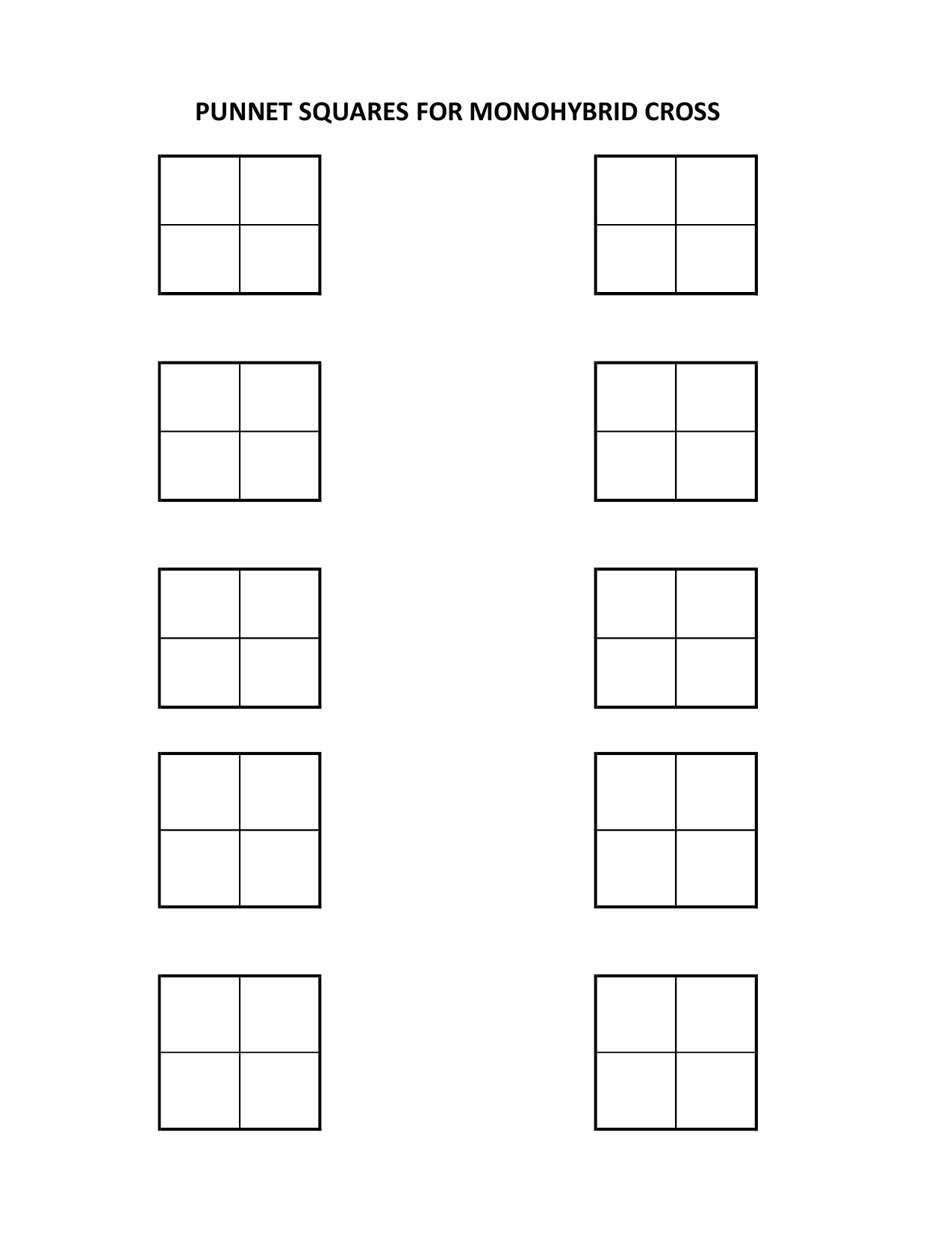 Blank Punnett Squares Printable