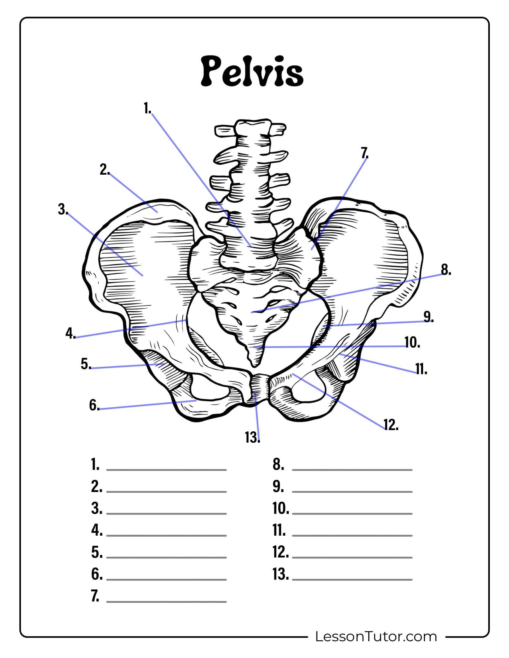 Free Printable Blank Skeleton