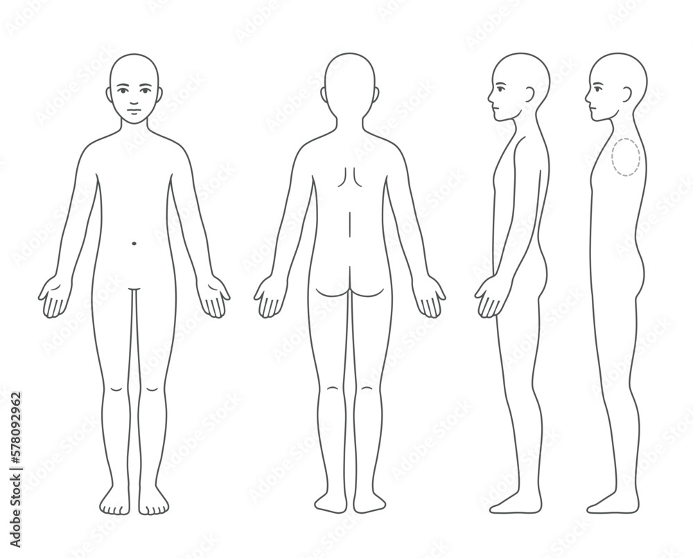 Stock Vektorgrafik Unisex Body Chart Template Adobe Stock