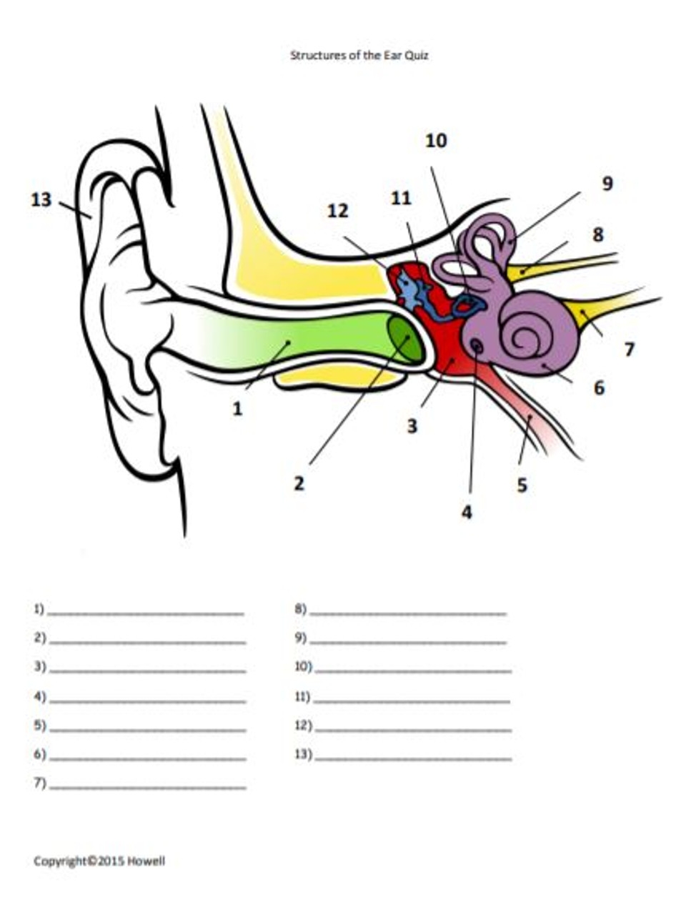 Structures Of The Ear Quiz Amped Up Learning
