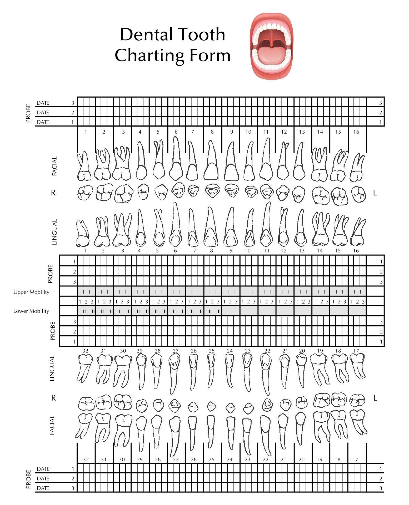 Blank Free Printable Periodontal Chart