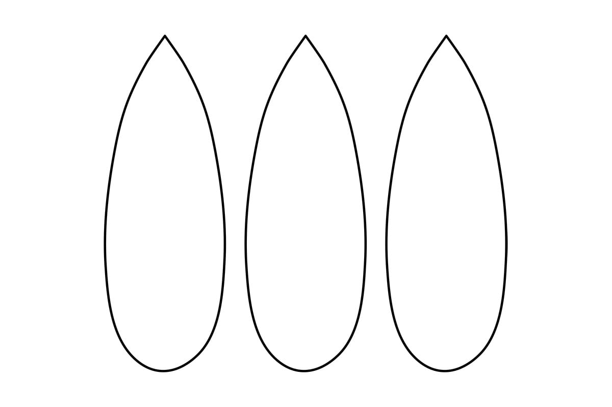 Blank Free Printable Feather Template